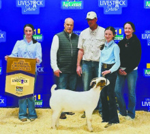 Natalie Brown won Supreme Champion Commercial Meat Goat Doe at the State LSU AgCenter Livestock Show in Gonzales.