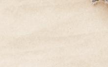 Alt Text for Image