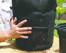 This fabric container features a flap that gives gardeners an inside look at a plant’s root system. Photo by Randy LaBauve/ LSU AgCenter