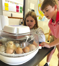 Students learn life processes in 4-H project