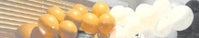 Alt Text for Image
