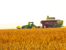 GRIFFIN TRIPP Farmers across the parish are overall grateful for good yields in all crops, including cotton, corn, soybeans and rice. Prices are still low, inputs still high, and there is no clear sign of where relief might come from at this point, leaving the economic outlook, despite high yields, bleak.