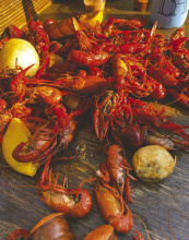 Outlook bleak for 2024 crawfish season