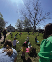 Annual egg hunt returns to Cotton Museum