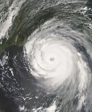 Stories from the storm