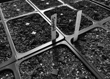 Start seeds now for early flowers, veggies