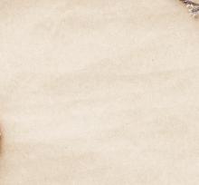 Alt Text for Image