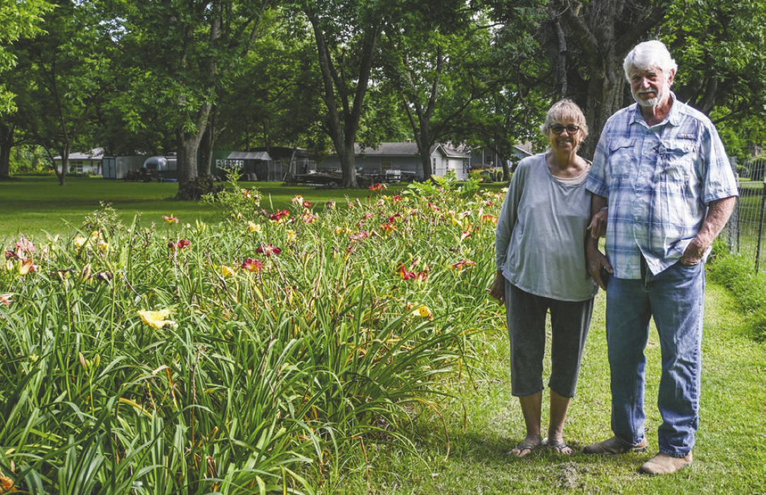 Couple creates daylily haven