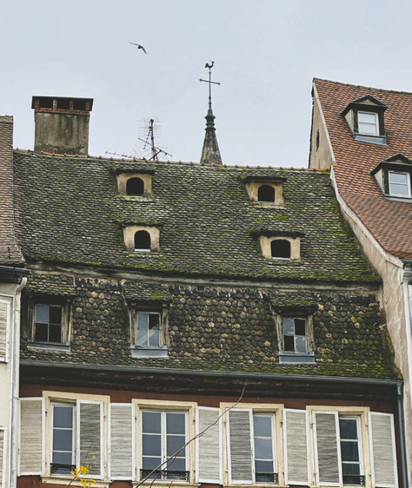 Example of Strasbourg's old thick-shingled, moss-covered roofs