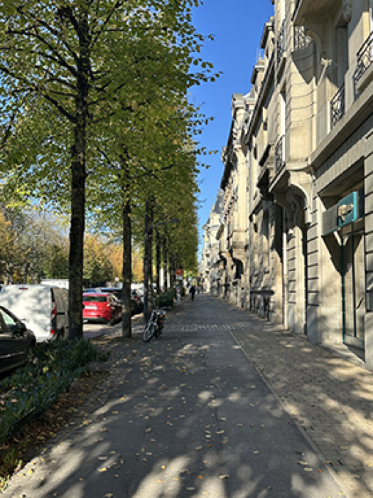 Peaceful street in Reims