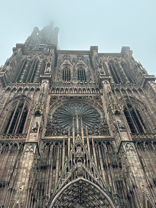 Strasbourg Cathedral outside looking up