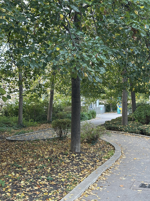 Elevated walkway takes a winding route through a part of Paris