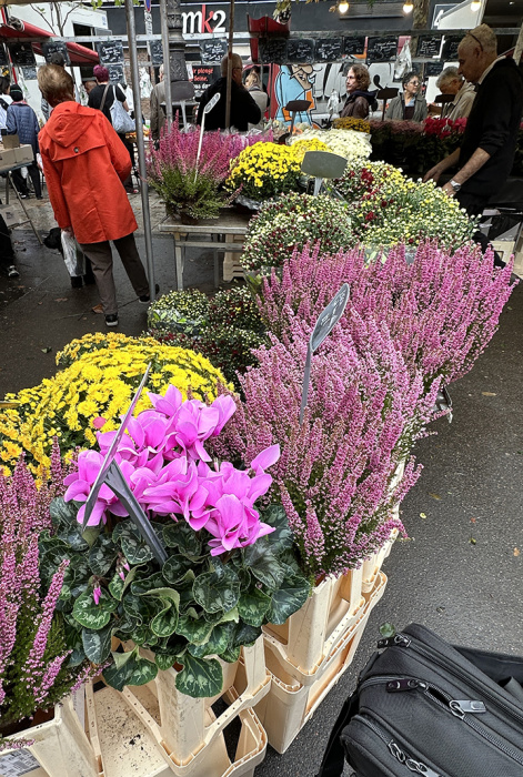 Flowers available at Paris market
