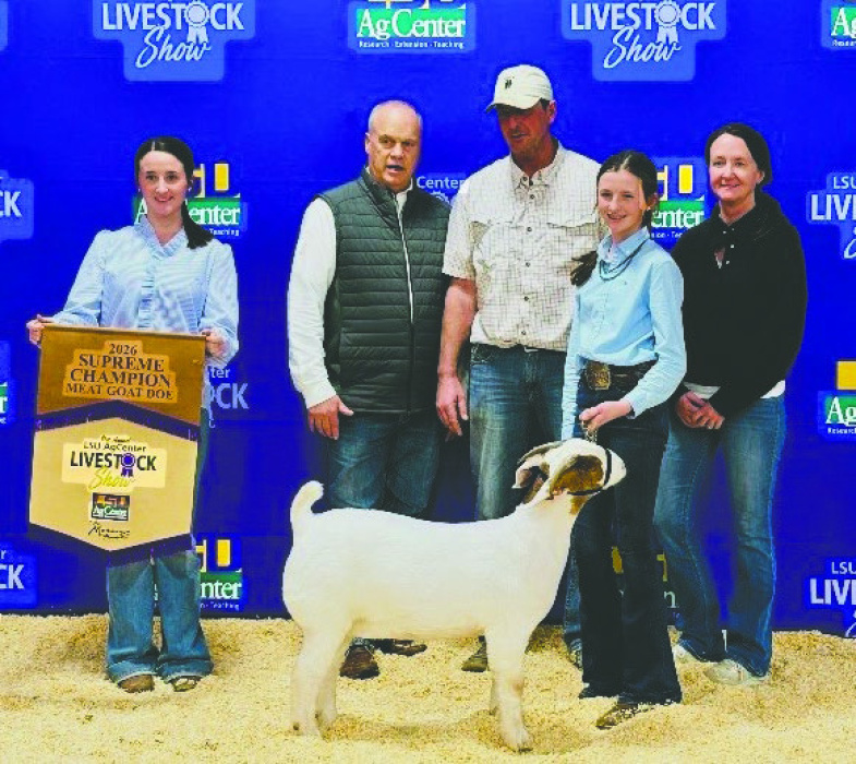 Natalie Brown won Supreme Champion Commercial Meat Goat Doe at the State LSU AgCenter Livestock Show in Gonzales.