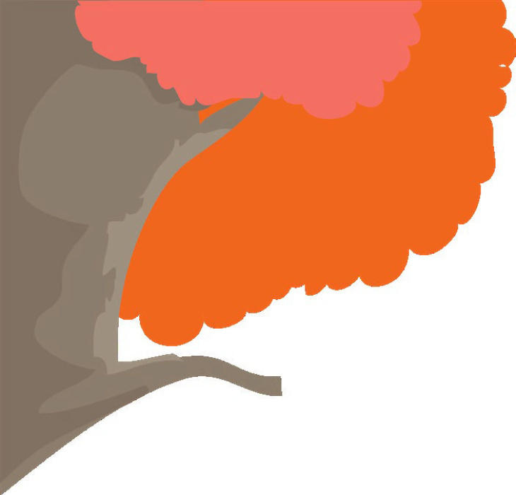 Alt Text for Image