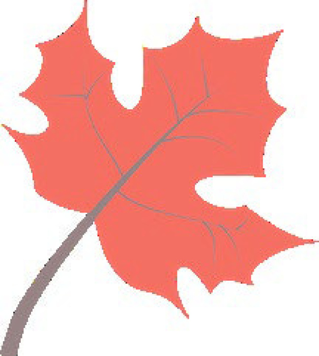 Alt Text for Image