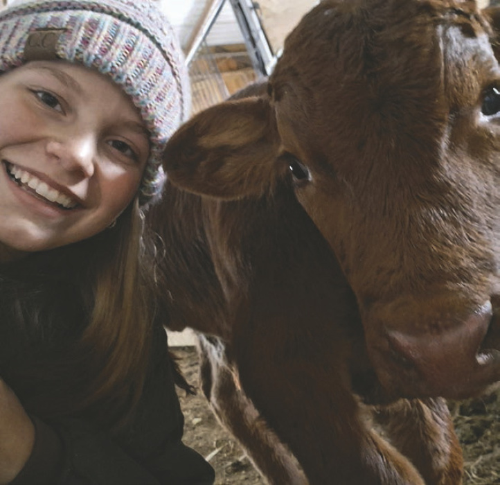 Tomlinsons welcomed new calf