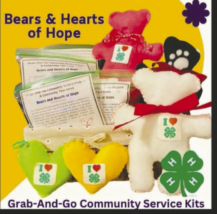 4-H bears and hearts project