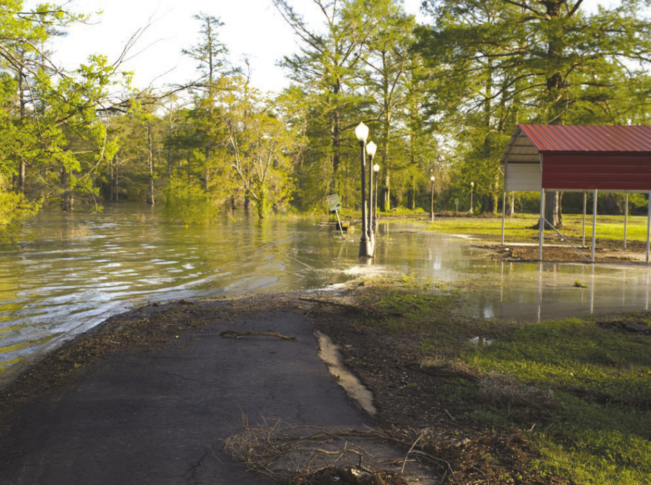 Heavy rains bring local flooding, expose trouble with litter and drainage