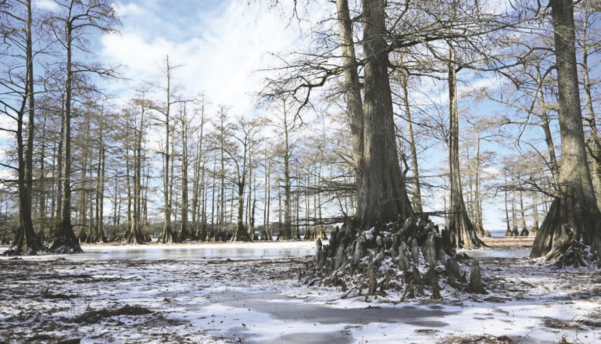 Storms lash out at parish, first with wind, then ice
