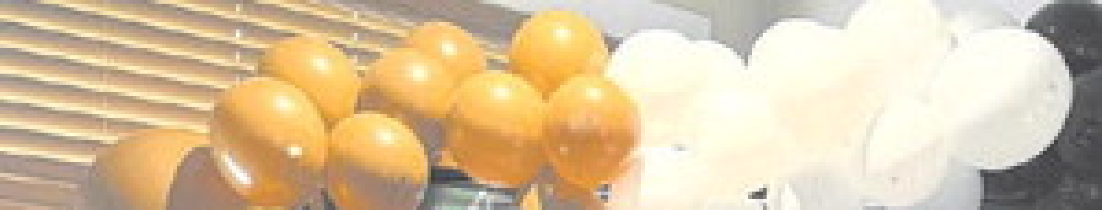 Alt Text for Image