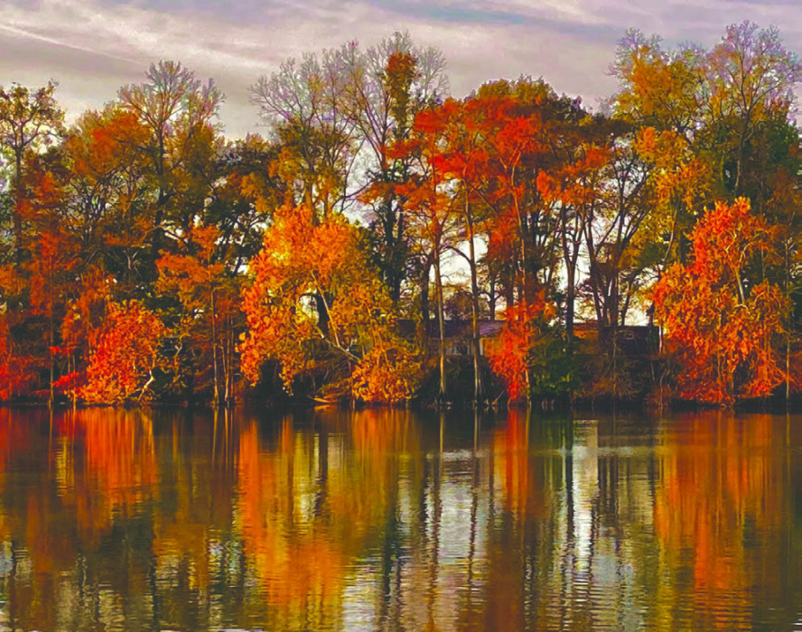 Debra Hopkins: I borrowed another one of Larry Brock’s pictures. I would think he missed his calling as a photographer if I didn’t know what his current calling was. And it’s much more important when he delivers God’s message. But he can take a beautiful picture.