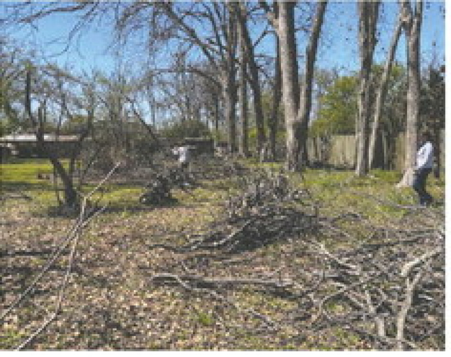 Volunteers chip away at town storm debris