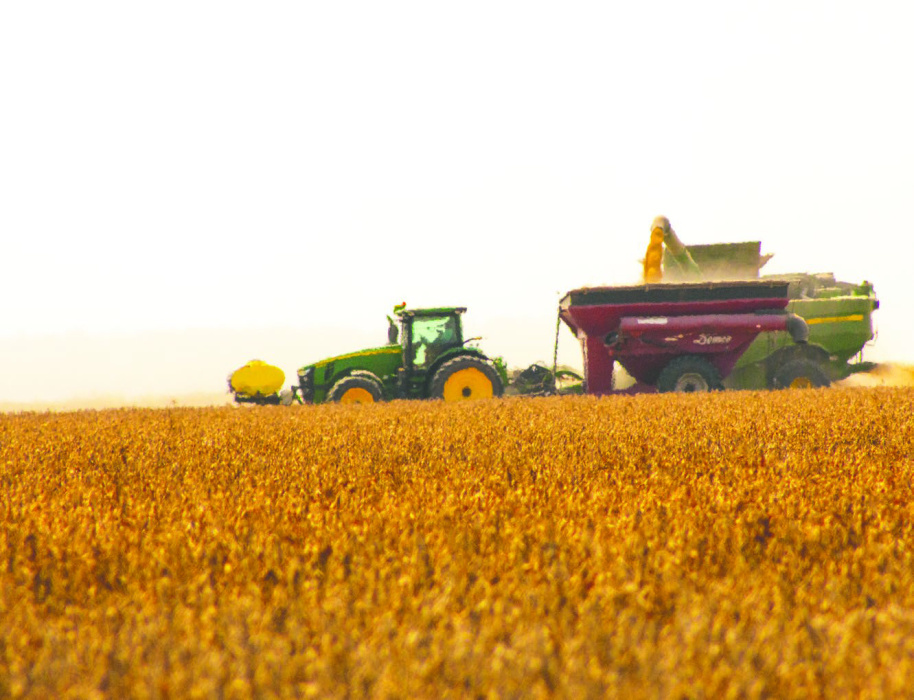 GRIFFIN TRIPP Farmers across the parish are overall grateful for good yields in all crops, including cotton, corn, soybeans and rice. Prices are still low, inputs still high, and there is no clear sign of where relief might come from at this point, leaving the economic outlook, despite high yields, bleak.
