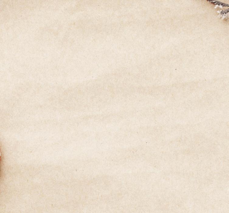Alt Text for Image