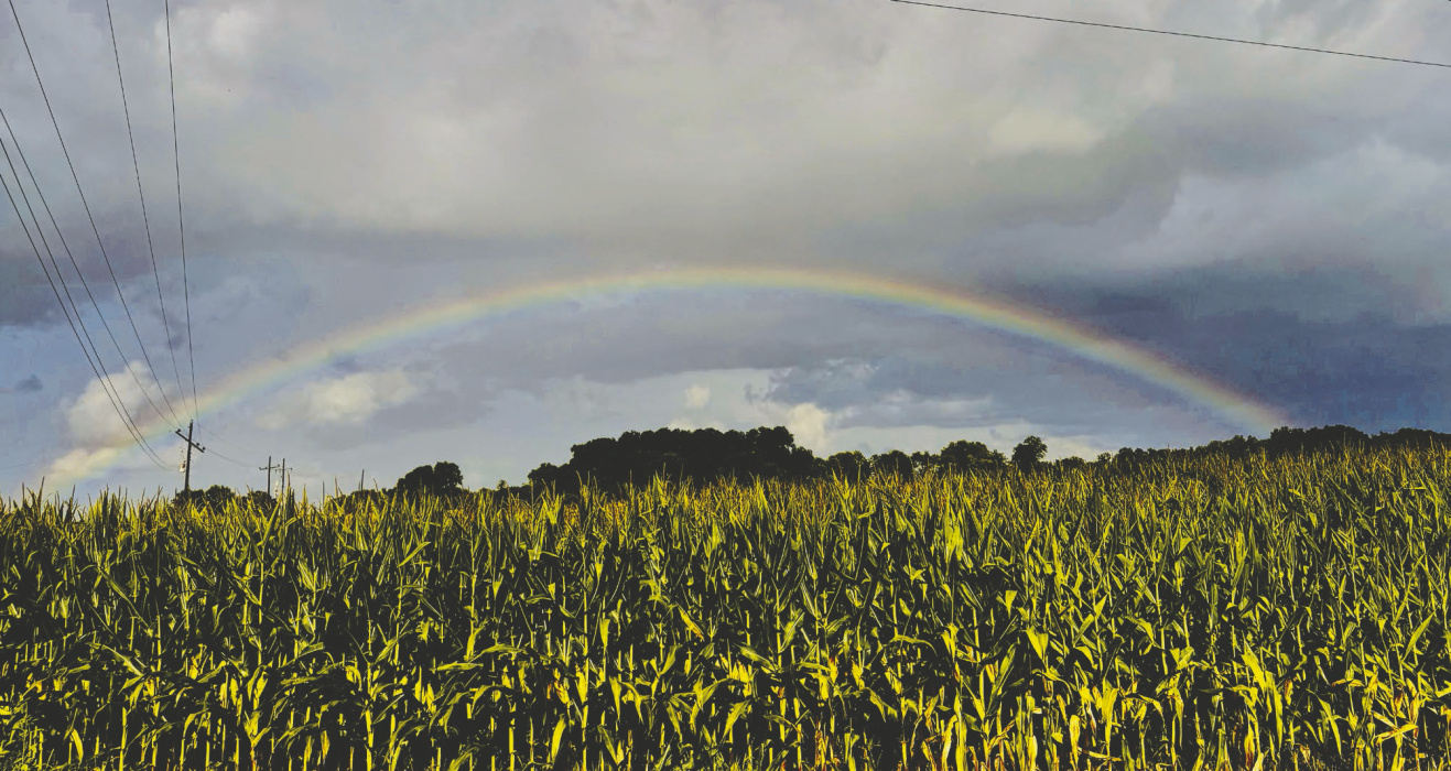 Summer rains continue to feed our local crops and a rainbow over a cornfield hints of hope for what's to come. DEBRA HOPKINS