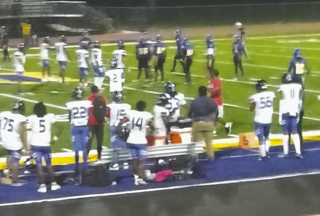 Panthers on the field