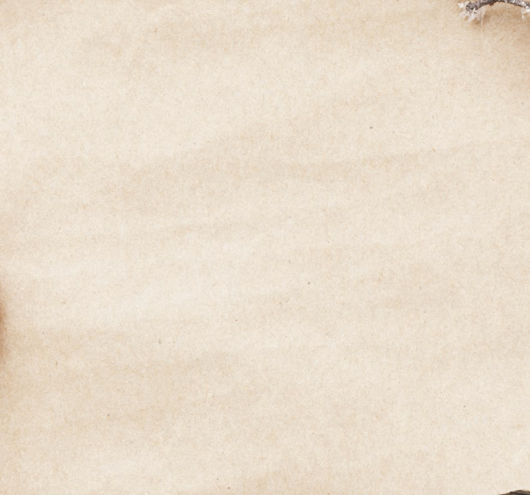 Alt Text for Image